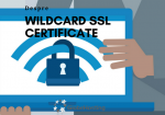 Wildcard SSL Certificate Tot ce trebuie sa stii