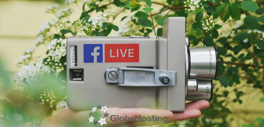 extensia live - social hub GlobeHosting Romania